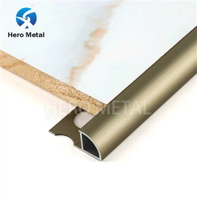 Bordo delle piastrelle del naso di toro